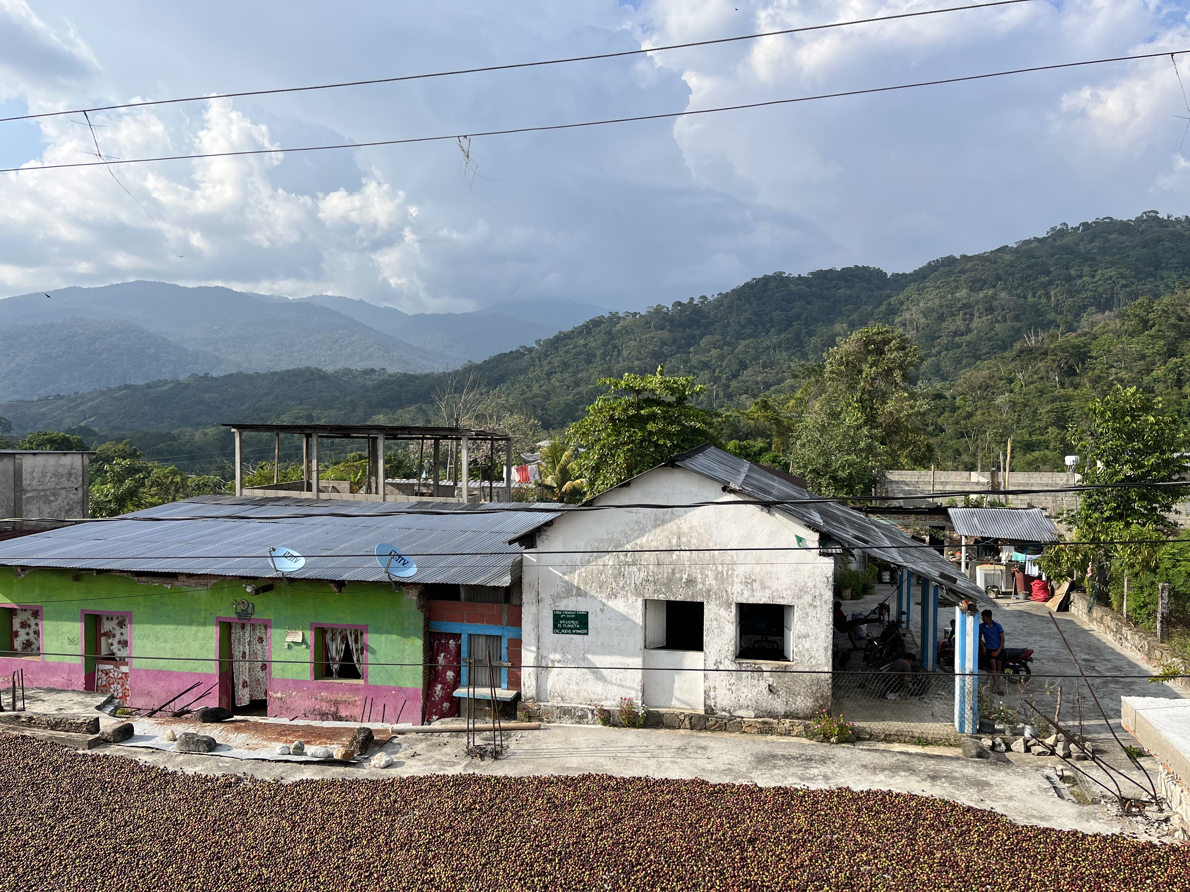 Fabrica de Cacao