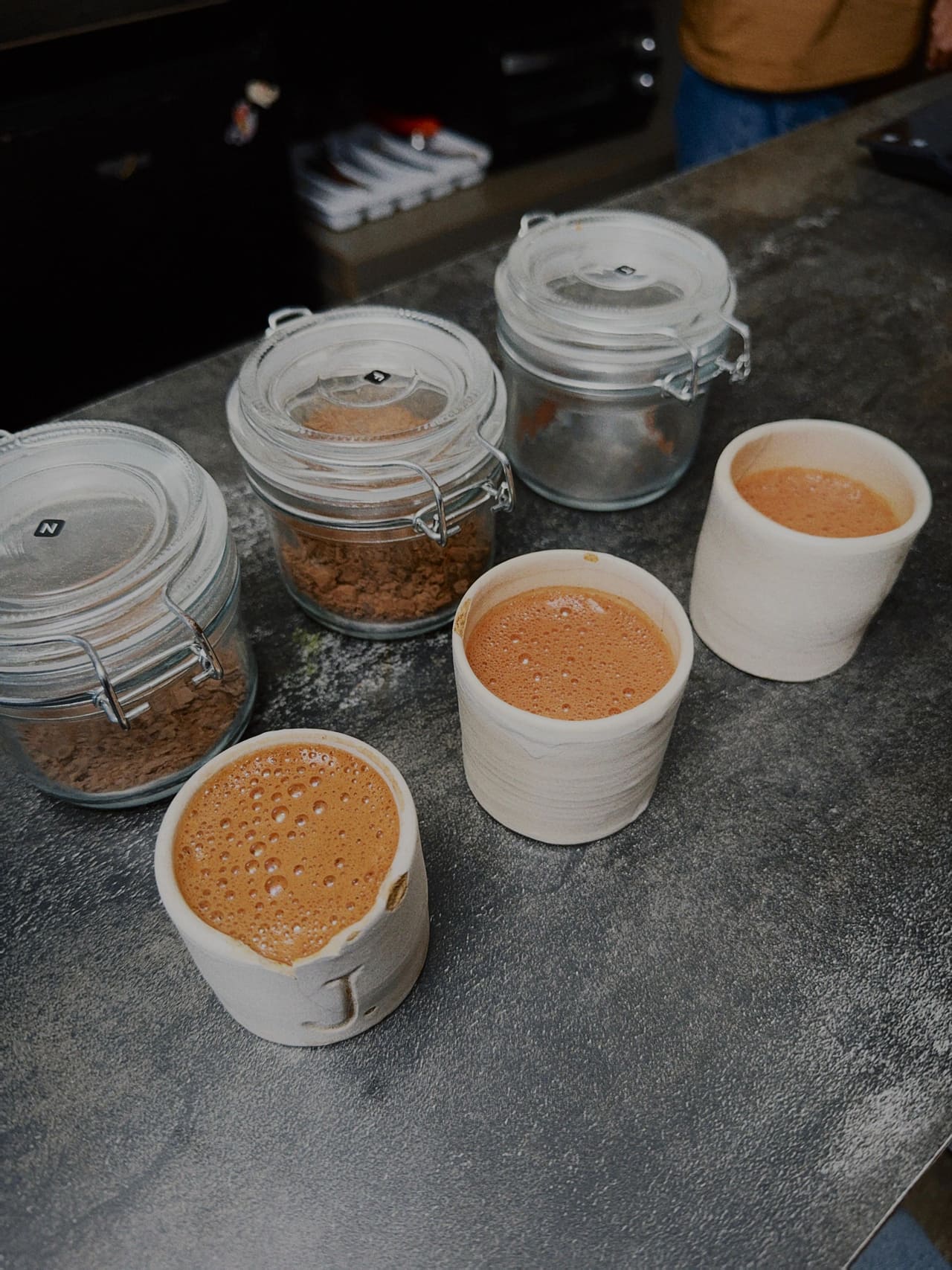 Cacao en la selva