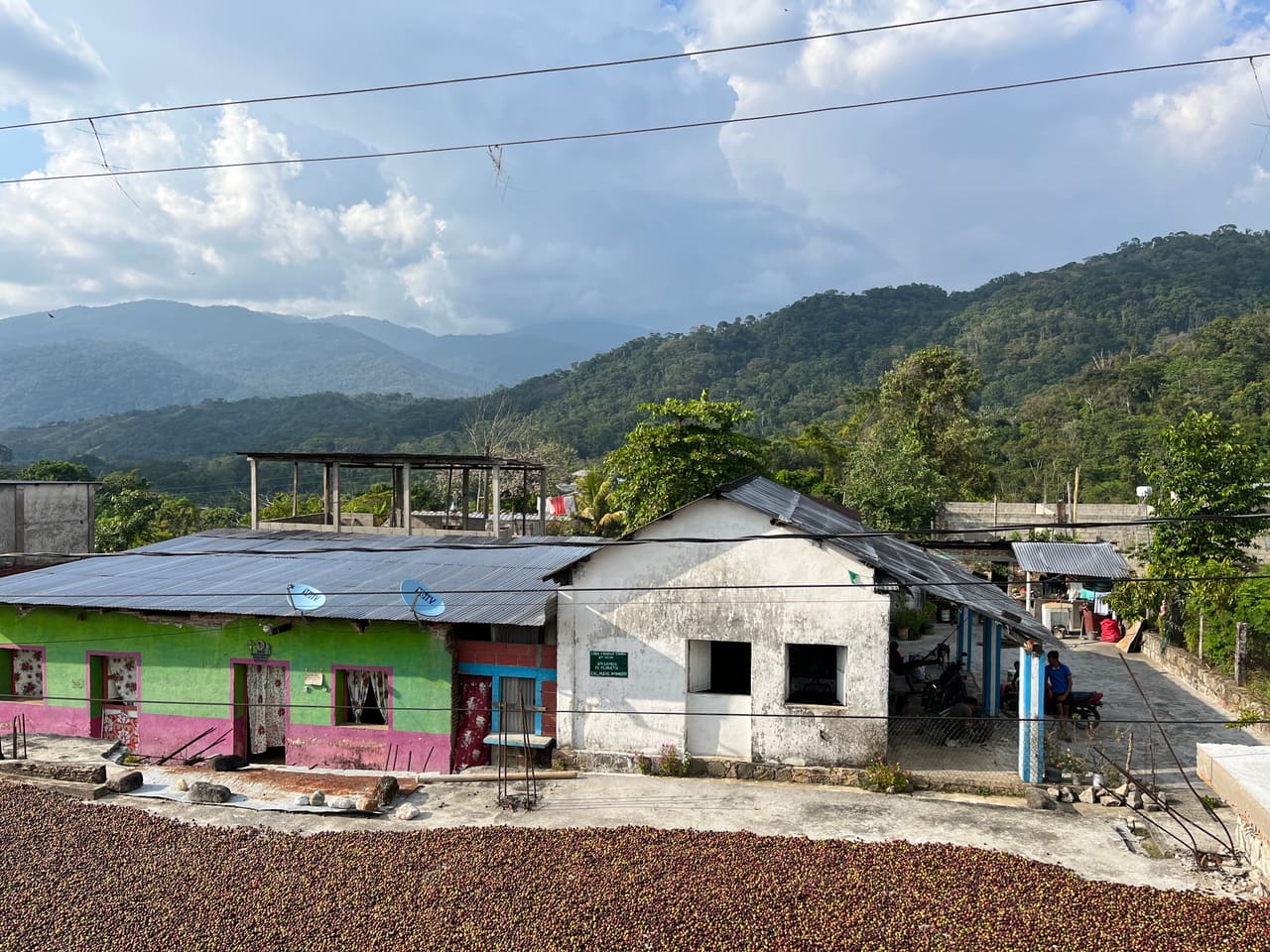 Cacao Fruta sobre granos pequeños