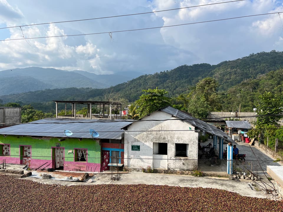 Cacao móvil